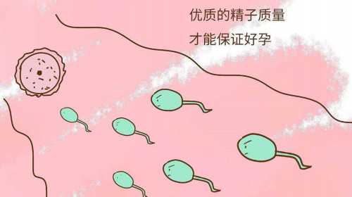 广州最好的做试管代孕医院,大连失独代孕