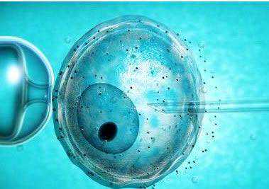 找个愿意代孕的_单身代孕过程_试管婴儿冻胚复苏移植有哪些注意事项？