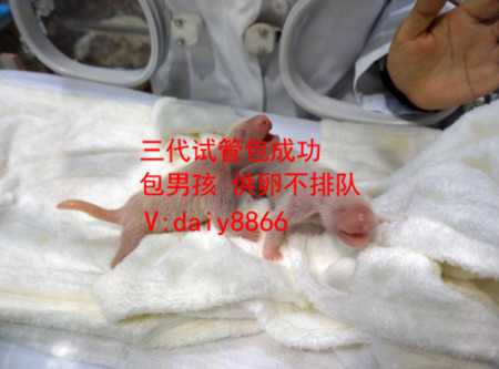 深圳孕宝国际真的假的优贝贝助孕医生可靠_孕宝国际试管婴儿中心_白带清洁度