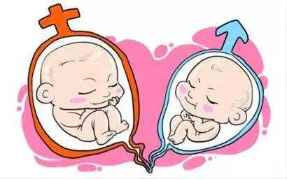 花山区宝缘生殖助孕_试管配好的胚胎可以看出男女吗(试管可以选择婴儿性别吗