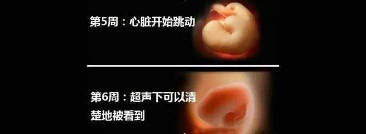 西林区助孕公司找哪家_北京试管婴儿医院如何使用黄体酮