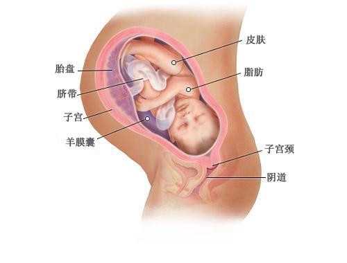 类似深圳孕宝国际怎么吗_香港孕宝国际生殖中心牛_eG5v8_一对地贫夫妇的健康宝