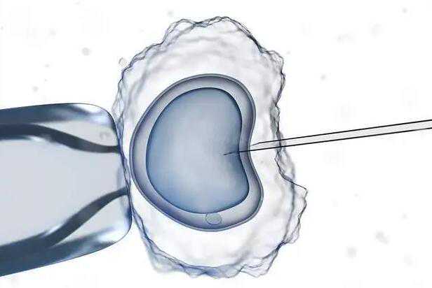 供卵代孕_做代孕可以选择性别吗_试管婴儿胚胎移植手术疼吗