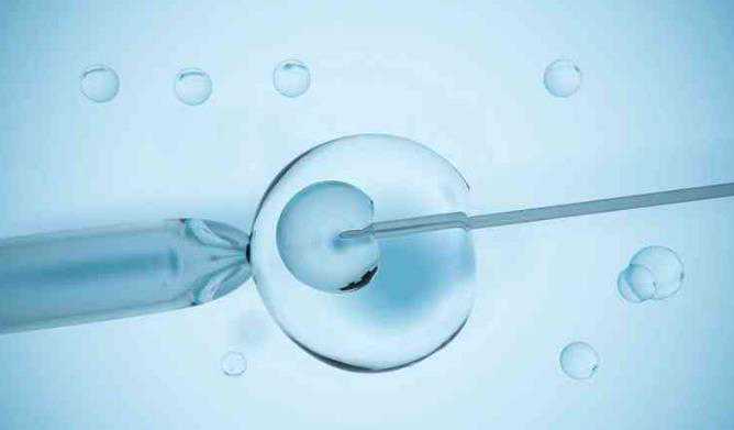 代孕辅助生殖中心地址_代孕辅助生殖中心代孕产子_助孕中药方有哪些？