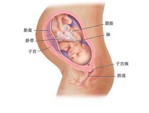 孕宝国际试管婴儿中心成都在哪里_孕宝国际生殖中心包成功真假_N5w71_L2BbI_461