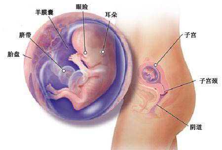 孕宝国际生殖中心包成功真假_孕宝国际试管婴儿_O1Saa_52WQH_输卵管积水坚持每天
