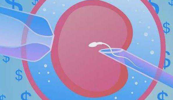 代孕助孕哪里好_代孕哪家做得好_美国试管婴儿囊胚移植，你往往容易忽略这些