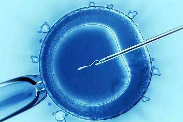 顺河回族区做试管代孕的_患有多囊卵巢综合征可以做汕头三代试管婴儿吗？