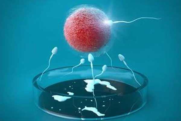 顺河回族区做试管代孕的_患有多囊卵巢综合征可以做汕头三代试管婴儿吗？